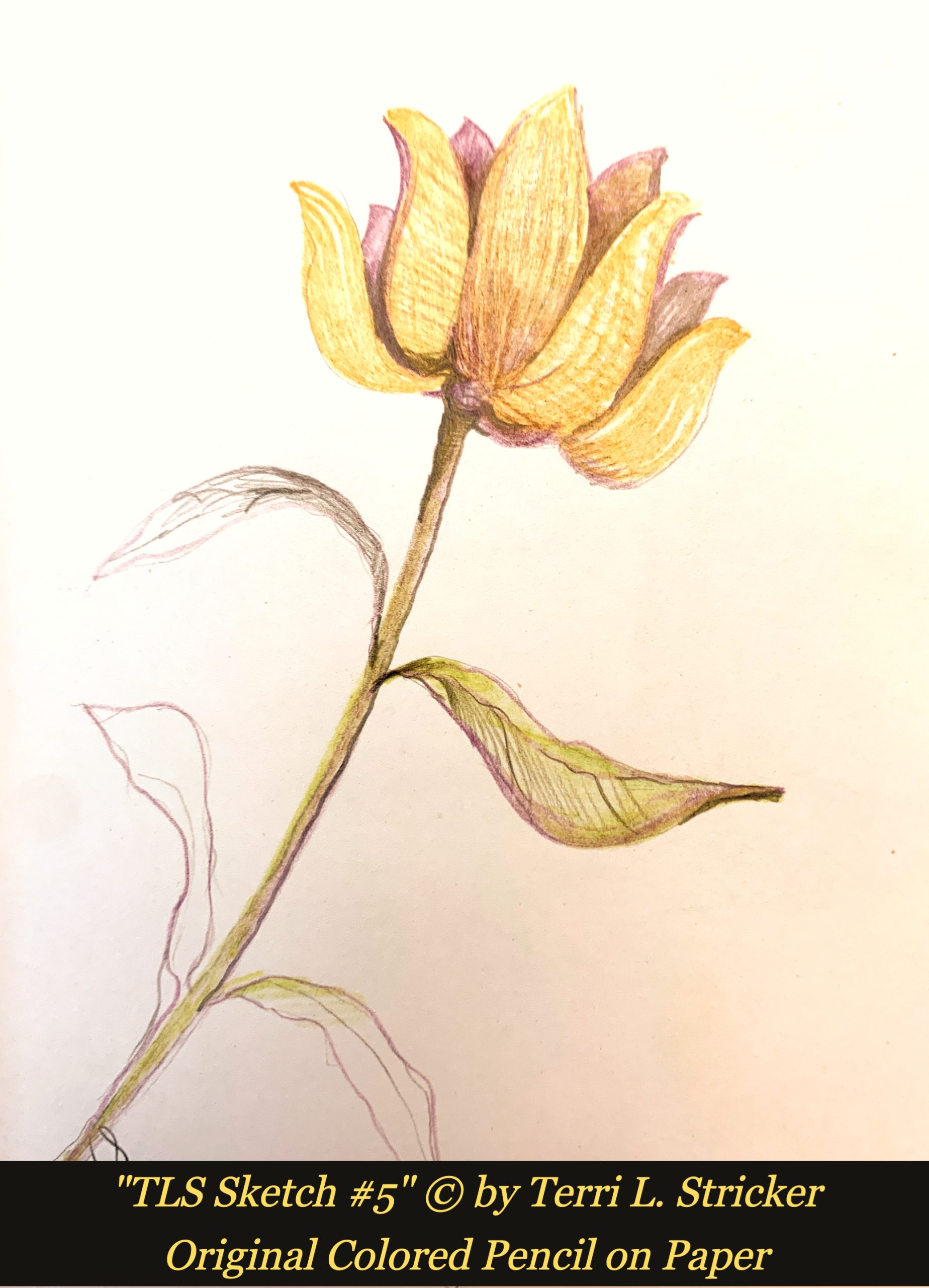 Day 317 – Mercy … Infinite Mercy