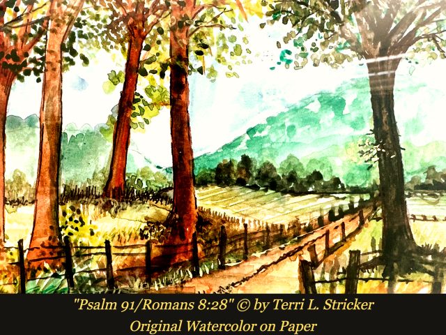 Day 355 – The Truth Comes Out
