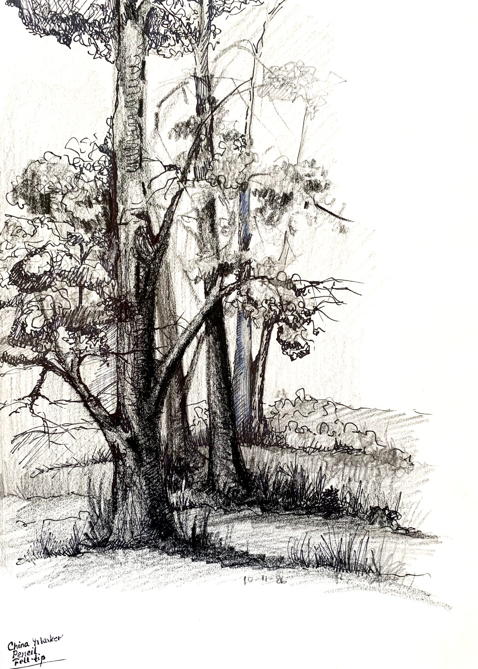 Day 47 – The Kingdom Is Where the King Is