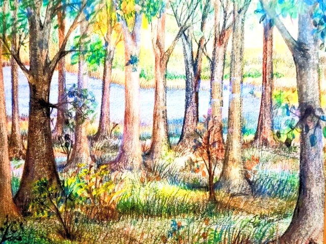 Day 342 – Already!