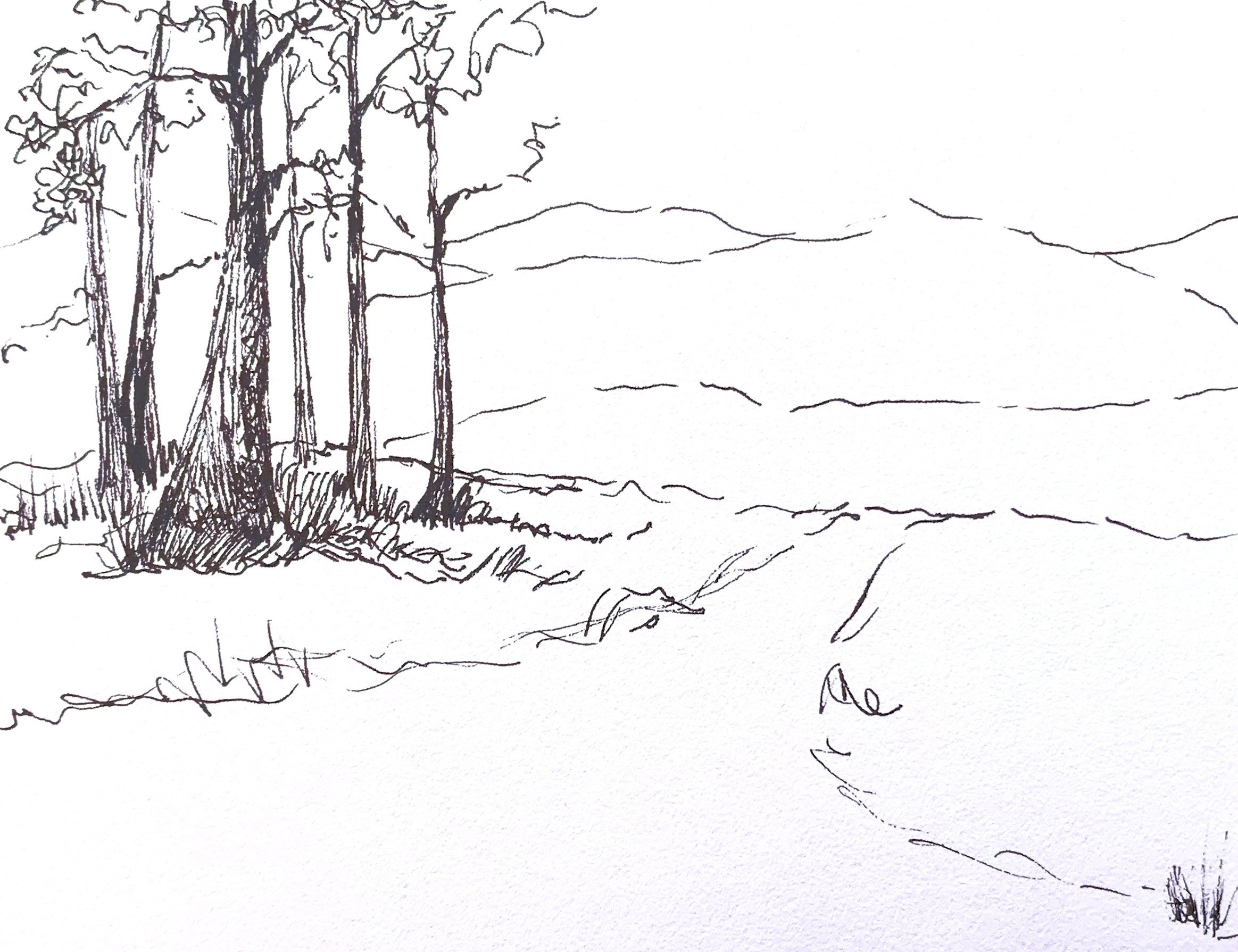 Day 19 – On His Way to Egypt