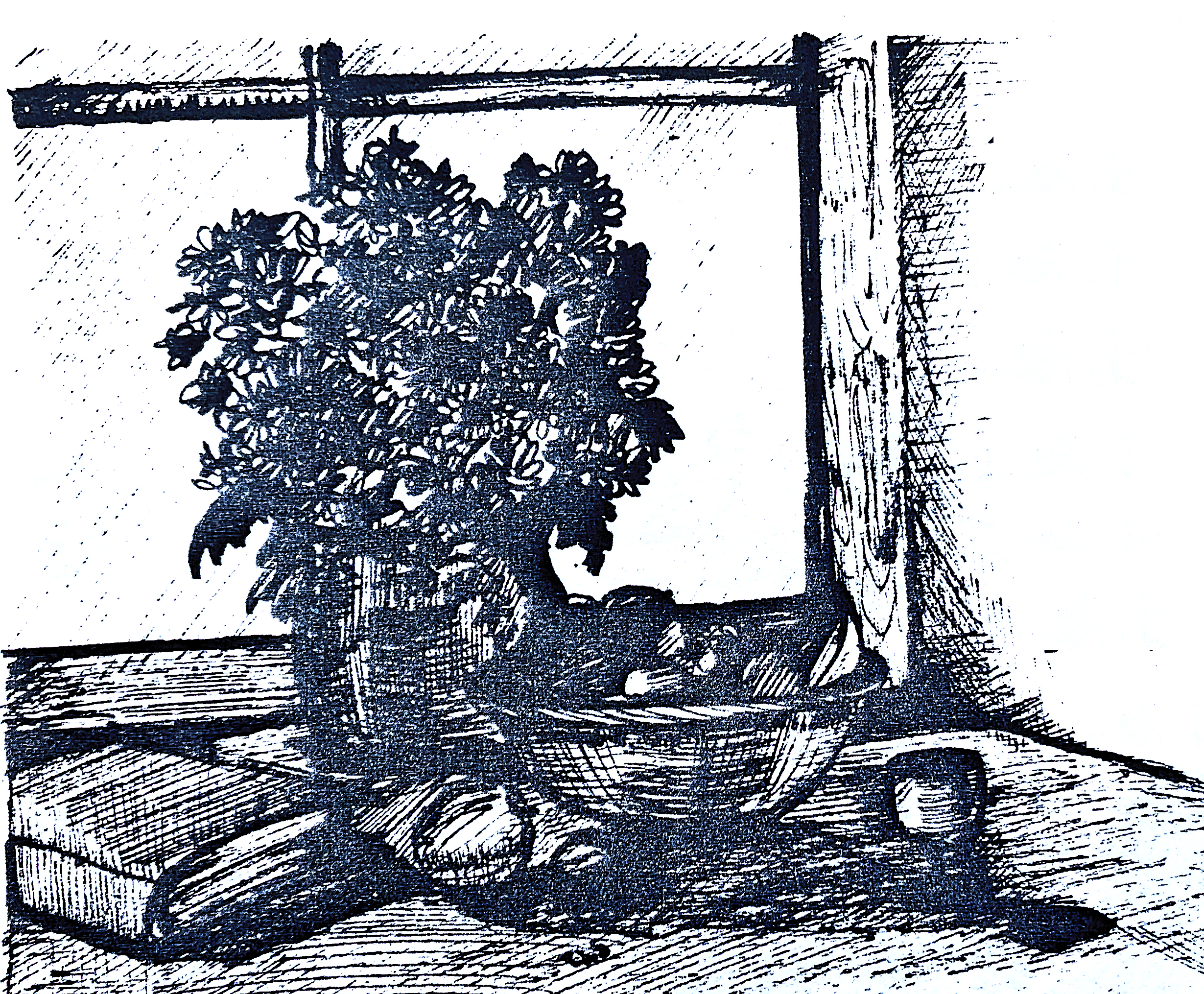 Day 97 – Whoever Finds Me, Finds Life