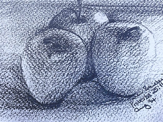 Day 242 – A Word Aptly Spoken