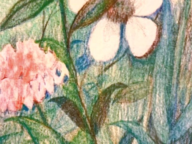 Day 266 – He Turned Tragedy Into Triumph