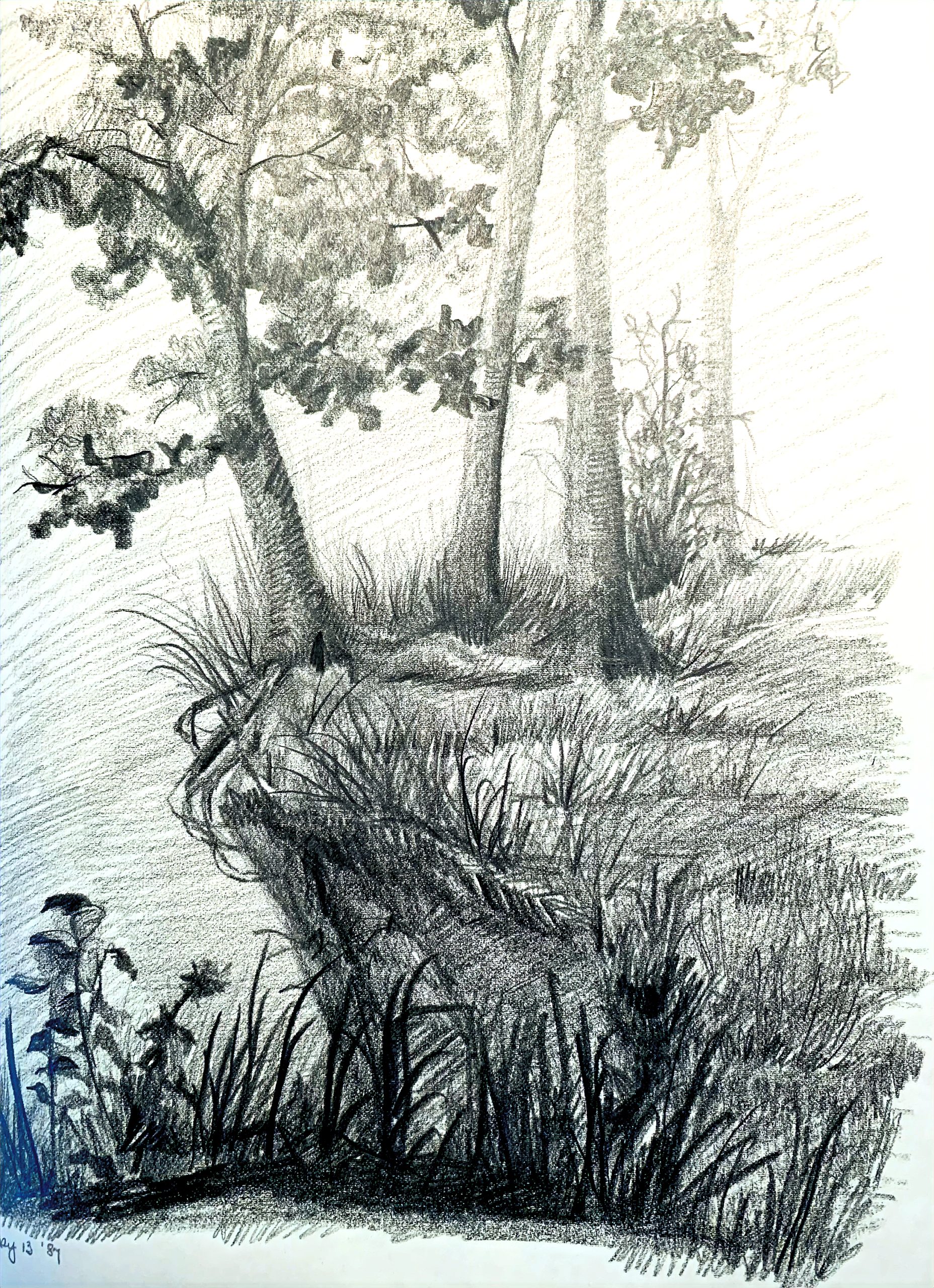 Day 287 – The Essence of Real Freedom